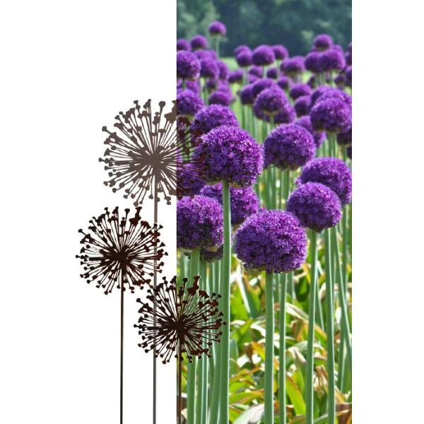 Allium Ø 30 Cm - Decoroest 1 Allium Ø 30 Cm - Decoroest