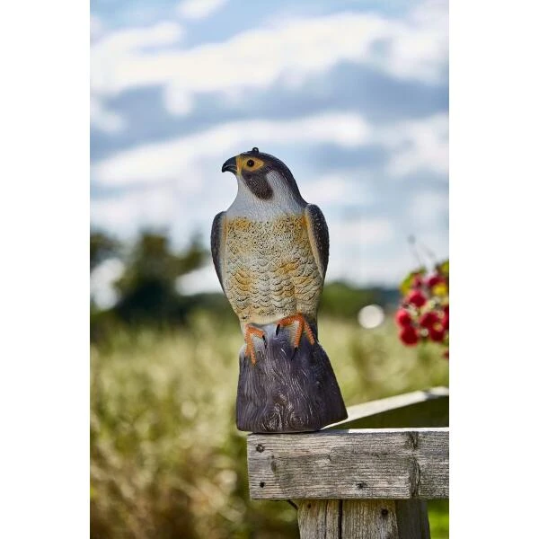 Slechtvalk Als Vogelverjager - 35 Cm 2 Slechtvalk Als Vogelverjager - 35 Cm - Afbeelding 2