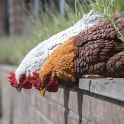 Voorkant -Tuin En Buiten 1707124792 2 600