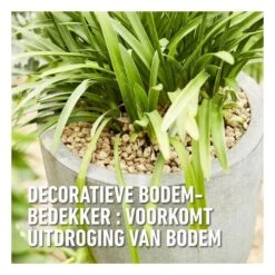 Compo Bio Granuplant Puimsteenkorrels - 25 L -Tuin En Buiten 1740472762 5 600