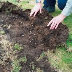DCM Heteri-Guard - Aaltjes Tegen Engerlingen In Gazon - Voor 10 M² -Tuin En Buiten aaltjes tegen engerlingen 10 m 1664370204 2 600