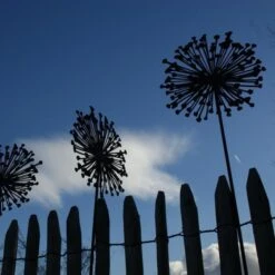 Allium Ø 30 Cm - Decoroest 8 Allium Ø 30 Cm - Decoroest -Tuin En Buiten allium 30 cm decoroest 1512145830 2 600