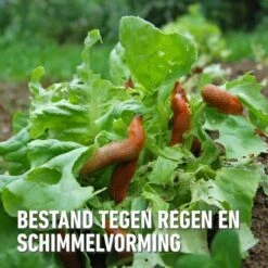 Compo Bio Anti-slakkenkorrels Voor 400 M² - 2 Kg 7 Compo Bio Anti-slakkenkorrels Voor 400 M² - 2 Kg -Tuin En Buiten antislak bio 2 kg 1740479025 4 600