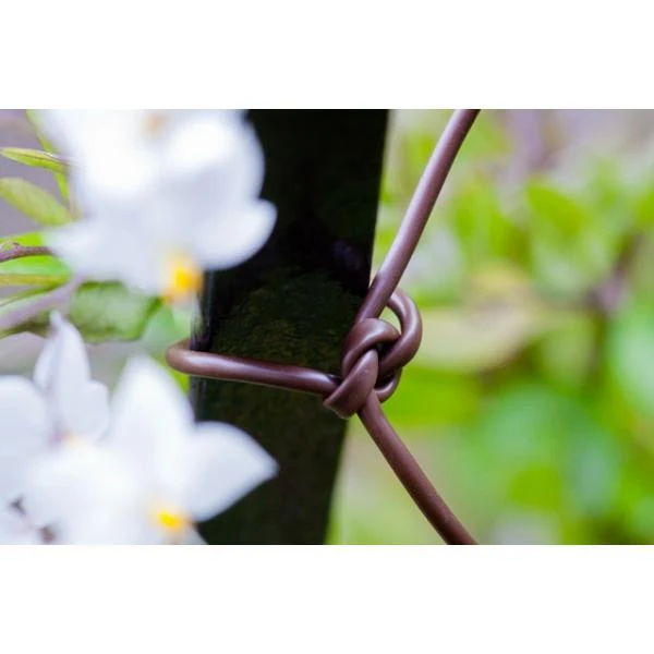 Bindbuis Elastisch Ø 2,5 Mm - Bruin 40 M 3 Bindbuis Elastisch Ø 2,5 Mm - Bruin 40 M - Afbeelding 3