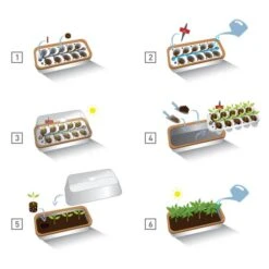 Binnenkas BoQube Plus Met Groelicht - 41 × 17 × 23 Cm 11 Binnenkas BoQube Plus Met Groelicht - 41 × 17 × 23 Cm -Tuin En Buiten binnenkas boqube plus 41x17x23 cm 1653470738 1 600