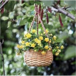 Bloemenmand Hangend - Kunststof 7 Bloemenmand Hangend - Kunststof -Tuin En Buiten bloemenmand hangend kunststof 1539085635 3 600