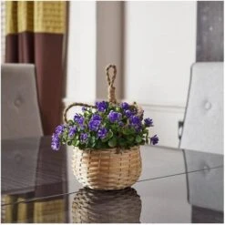 Bloemenmand Hangend - Kunststof 8 Bloemenmand Hangend - Kunststof -Tuin En Buiten bloemenmand hangend kunststof 1539085635 4 600