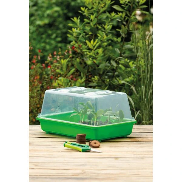 Broeikas Romberg M - 38 × 24 × 19 Cm 2 Broeikas Romberg M - 38 × 24 × 19 Cm - Afbeelding 2