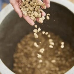 Compo Bio Granuplant Puimsteenkorrels - 40 L -Tuin En Buiten compo bio granuplant 40 l 1709199298 2 600