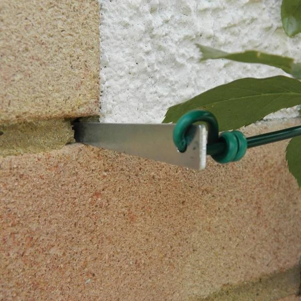 Druivengeleiders - Set Van 4 Stuks 1 Druivengeleiders - Set Van 4 Stuks