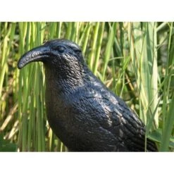 Duivenverjager Kraai -Tuin En Buiten duivenverjager kraai 1484053985 3 600