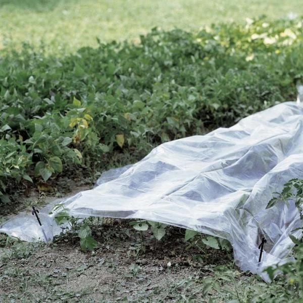 Folie Voor Kweektunnel - 2 × 10 M 1 Folie Voor Kweektunnel - 2 × 10 M