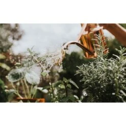 Haws Gieter 1 L - Koper -Tuin En Buiten gieter haws 1 l koper 1659089480 2 600