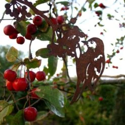 Goudvink Op Tak Lijsterbes 5 Goudvink Op Tak Lijsterbes -Tuin En Buiten goudvink op tak lijsterbes 1510652971 1 600