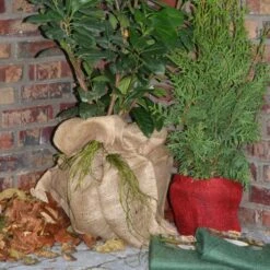 Jutezak - Naturel - 60 × 80 Cm -Tuin En Buiten jutezak 60 x 80 naturel 1486635322 0 600