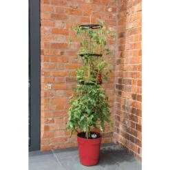 Tomatentoren Met Bewateringssysteem - 150 Cm -Tuin En Buiten klimplantentoren met bewateringssysteem 1519074088 1 600