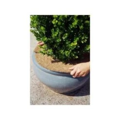 Kokos Afdekring - Ø 25 Cm 5 Kokos Afdekring - Ø 25 Cm -Tuin En Buiten kokos afdekring 25 cm 1607083751 2 600