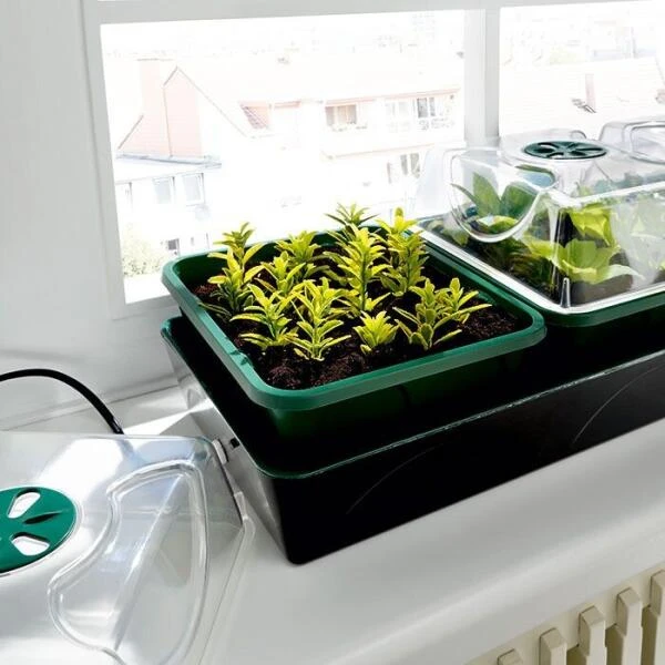 Elektrische Vensterbankkas Met Waterreservoir + Universele Digitale Thermostaat 2 Elektrische Vensterbankkas Met Waterreservoir + Universele Digitale Thermostaat - Afbeelding 2