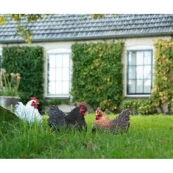 ESSCHERT DESIGN Liggende Kip Tuinbeeld