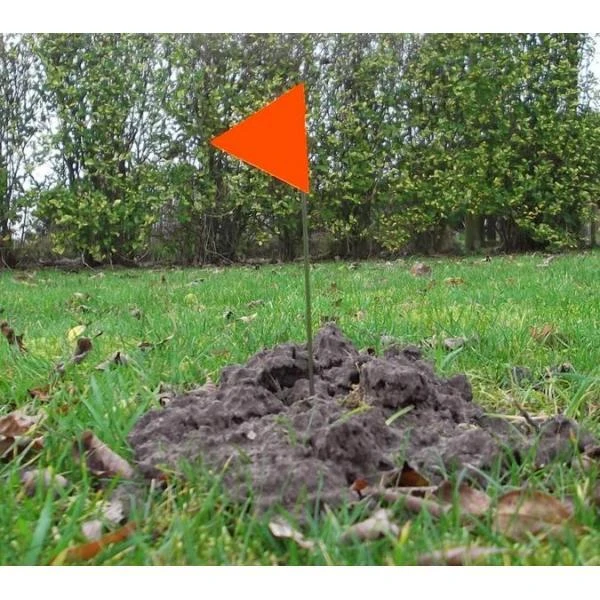 Markeervlaggen / Plantlabels - Set Van 5 Stuks 2 Markeervlaggen / Plantlabels - Set Van 5 Stuks - Afbeelding 2