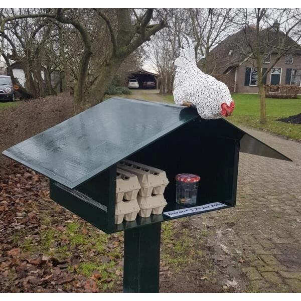 Nieuwsgierige Kip Tuinbeeld 5 Nieuwsgierige Kip Tuinbeeld - Afbeelding 5