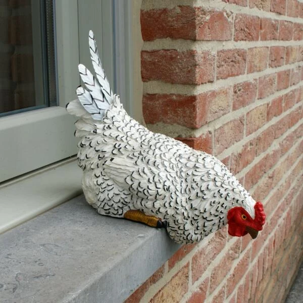 Nieuwsgierige Kip Tuinbeeld 1 Nieuwsgierige Kip Tuinbeeld