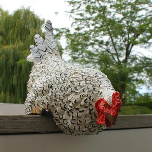 Nieuwsgierige Kip Tuinbeeld 4 Nieuwsgierige Kip Tuinbeeld - Afbeelding 4