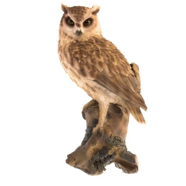 Oehoe Op Tak - Tuinbeeld 1 Oehoe Op Tak - Tuinbeeld