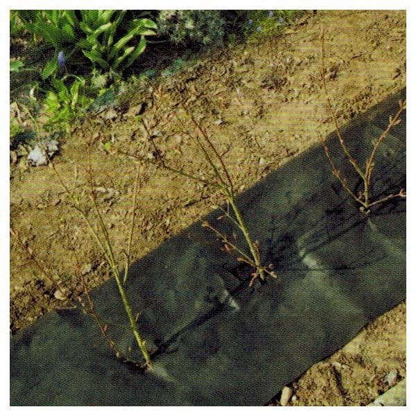 Hagenvlies - Onkruidbeschermvlies 25 × 0,5 M 1 Hagenvlies - Onkruidbeschermvlies 25 × 0,5 M