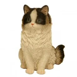 Prachtig Katje - Beeld