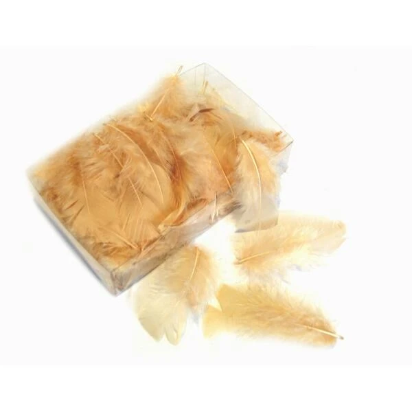 Decoratieve Pluimen - Crème 1 Decoratieve Pluimen - Crème
