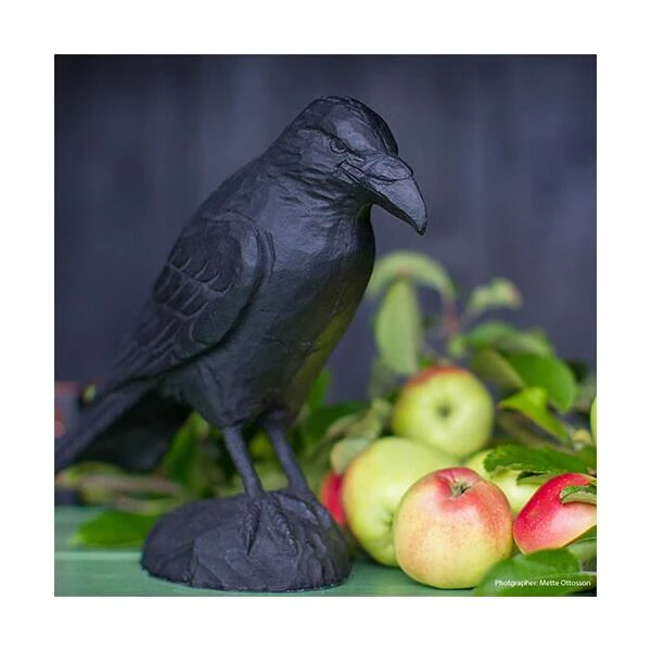 Raaf In Gietijzer 2 Raaf In Gietijzer - Afbeelding 2