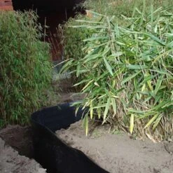 Rootblock Professionele Wortelwering 60 Cm Hoog - / Strekkende Meter 7 Rootblock Professionele Wortelwering 60 Cm Hoog - / Strekkende Meter -Tuin En Buiten rootblock professionele wortelwering 1552733360 3 600