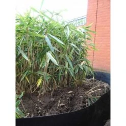 Rootblock Professionele Wortelwering 60 Cm Hoog - / Strekkende Meter 9 Rootblock Professionele Wortelwering 60 Cm Hoog - / Strekkende Meter -Tuin En Buiten rootblock professionele wortelwering 1552733360 5 600