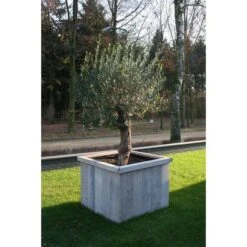 Thermobeschermhoes Jumbo Voor Planten - 240 × 200 Cm 8 Thermobeschermhoes Jumbo Voor Planten - 240 × 200 Cm -Tuin En Buiten thermovorsthoes 240 x 200cm 1484053216 3 600