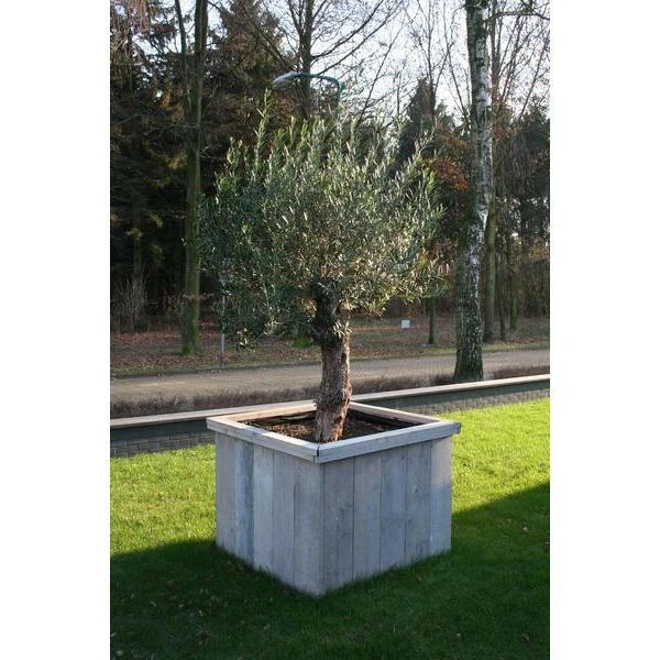Thermobeschermhoes Jumbo Voor Planten - 240 × 200 Cm 4 Thermobeschermhoes Jumbo Voor Planten - 240 × 200 Cm - Afbeelding 4