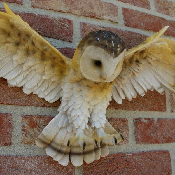 Uil Met Open Vleugels Muurdecoratie 3 Uil Met Open Vleugels Muurdecoratie - Afbeelding 3