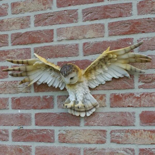 Uil Met Open Vleugels Muurdecoratie 6 Uil Met Open Vleugels Muurdecoratie - Afbeelding 6