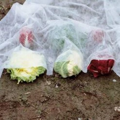 Vliesdoek - 10 × 2 Meter - 30 G/m²