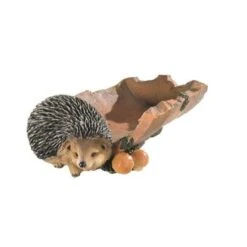 Voederschaal Met Egel