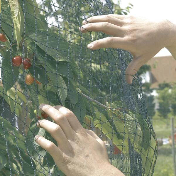 Vogelnet Beschermnet - Pronet 5 × 12 M 1 Vogelnet Beschermnet - Pronet 5 × 12 M