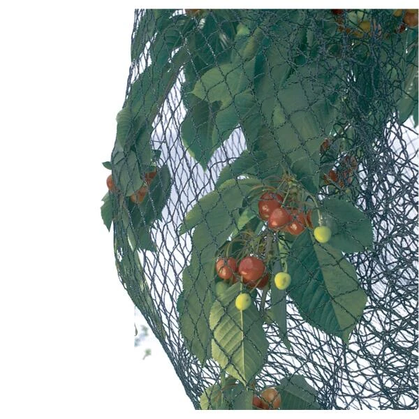Vogelnet Beschermnet - Pronet 5 × 12 M 3 Vogelnet Beschermnet - Pronet 5 × 12 M - Afbeelding 3
