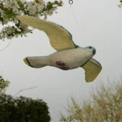 Torenvalk Als Vogelschrik -Tuin En Buiten vogelverjager torenvalk 1492582163 2 600