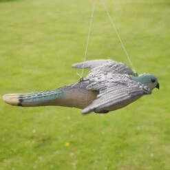 Torenvalk Als Vogelschrik -Tuin En Buiten vogelverjager torenvalk 1492582163 3 600