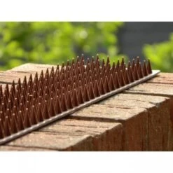 Afweerpinnen Strip Vogels, Katten,... - Bruin 5 Afweerpinnen Strip Vogels, Katten,... - Bruin -Tuin En Buiten vogelwering met afweerpinnen 50 cm 1484056943 3 600