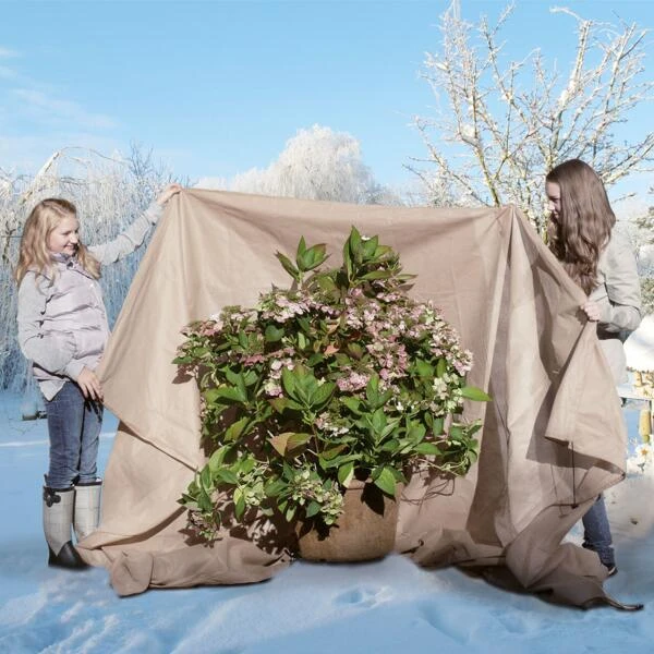 Beschermhoes Extreme Planten - Ø 200 × 300 Cm 3 Beschermhoes Extreme Planten - Ø 200 × 300 Cm - Afbeelding 3