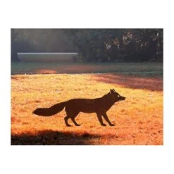 Vos Staand - Decoroest -Tuin En Buiten vos staand decoroest 1510915732 1 600