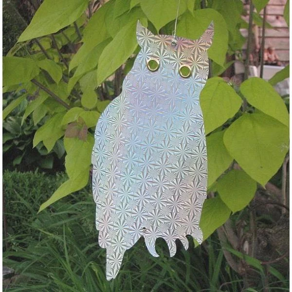 Weringsuilen Hologram - Set Van 6 Stuks 1 Weringsuilen Hologram - Set Van 6 Stuks