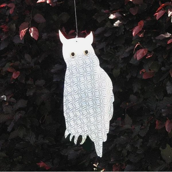 Weringsuilen Hologram - Set Van 6 Stuks 2 Weringsuilen Hologram - Set Van 6 Stuks - Afbeelding 2